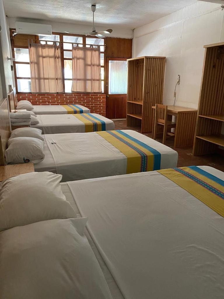 Hotel Bungalows Acuario Puerto Escondido  Kültér fotó